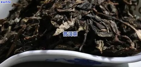 普洱茶涩口原因解析：探究普洱茶口感中涩味的成因