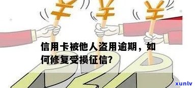 信用卡被盗办导致信用受损？如何解决问题并防范类似再次发生