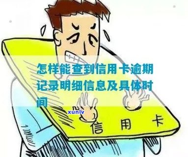 怎样查询信用卡逾期几次记录明细和时间