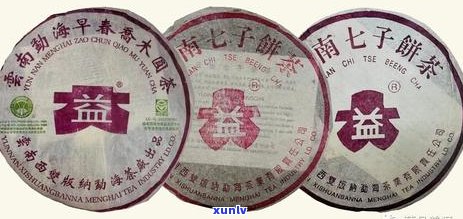 大益茶品功夫系列：全面了解价格、品质与功效，助您轻松挑选心仪茶叶