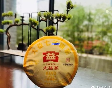 大益益品功夫品鉴：最新价，价格，发行价，用料