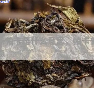 普洱茶帕卡的含义及其在茶文化中的作用：探索中国普洱茶的独特魅力