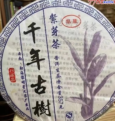 帕卡普洱茶紫鹃价格