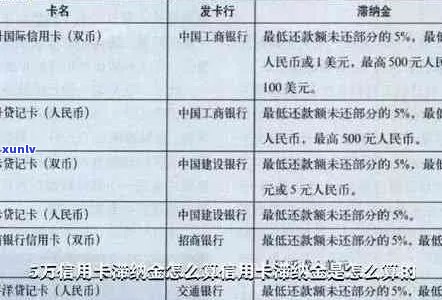 新 '各银行信用卡逾期利息计算 *** 详解，从此告别罚息'