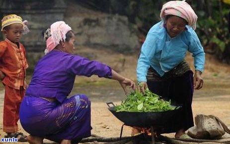 佛山人爱普洱茶的独特称号：茶痴一族