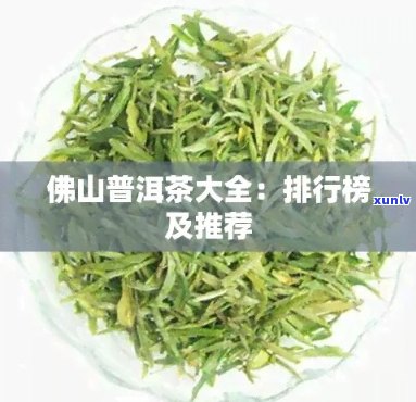 佛山普洱茶排行榜：佛山优质普洱茶一览