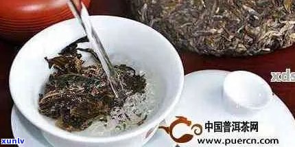 广东人普洱茶： ***  *** 、泡法、功效与饮用禁忌，一文解答所有疑问