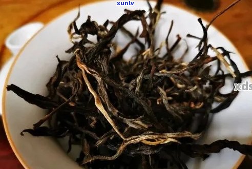 什么是大叶种普洱茶的特点与区别：深入解读这种独特的茶叶