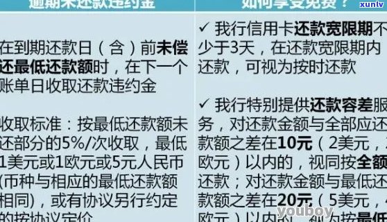 信用卡逾期贷款和整容：如何解决还款问题并进行美容手术？