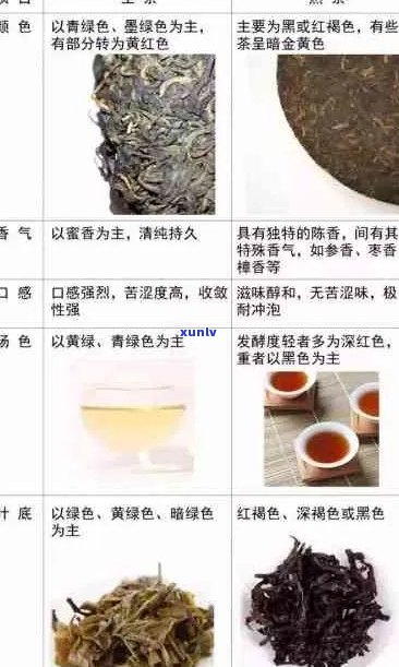 普洱茶叶生熟对比：哪个更好喝？