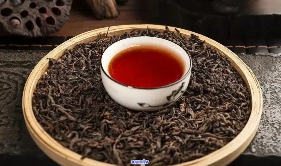 普洱茶：生茶与熟茶的选择之道