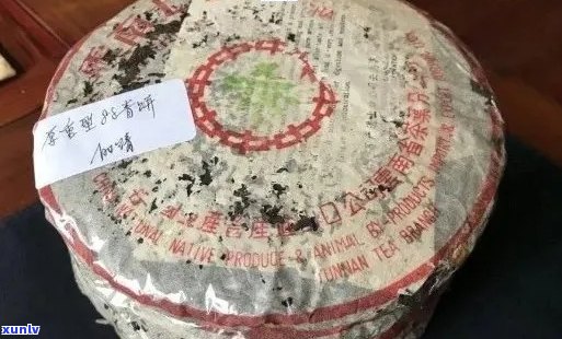 80年代铁饼普洱茶：一款具有历意义的经典茶叶，品味其独特风味与 *** 工艺