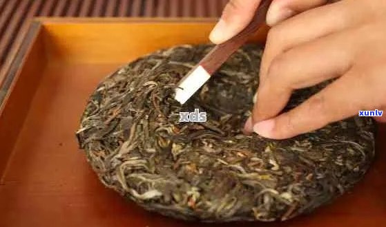 普洱茶饼：即时享用还是醒茶后再品？探讨熟普洱茶饼的饮用时间