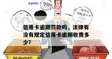 信用卡逾期罚金多少：处理方式与一年影响