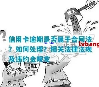 信用卡逾期罚金多少：处理方式与一年影响