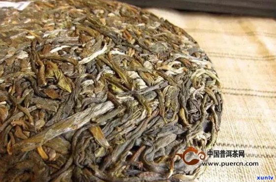 用傣存普洱茶好吗