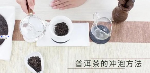 普洱茶泡法工具：高效泡出好味道