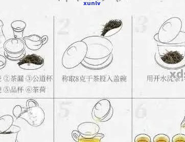 普洱茶泡法工具：高效泡出好味道