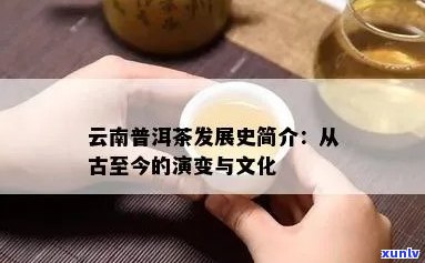 普洱茶的兴起：一被遗忘的历、云南文化和中国茶文化的融合