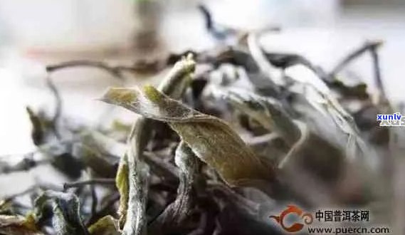 如何有效去除普洱茶叶上的绒毛：一种完整指南