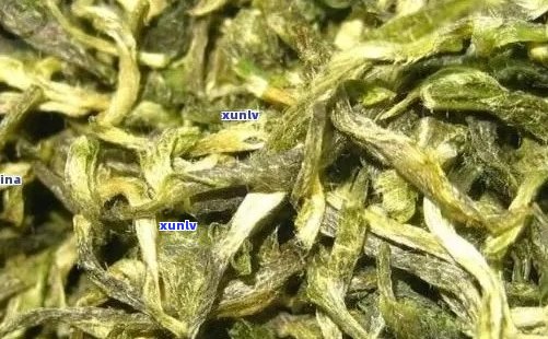 新掌握这三招，轻松去除普洱茶叶上的绒毛，让茶味更纯净