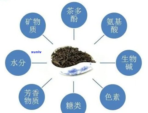 '普洱茶有绒毛的原因及影响，是否可以饮用，以及其对健的功效解析'