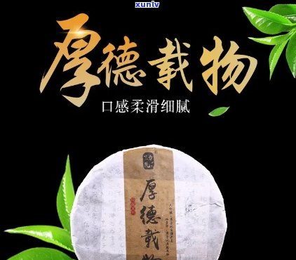 厚德载福茶叶普洱茶