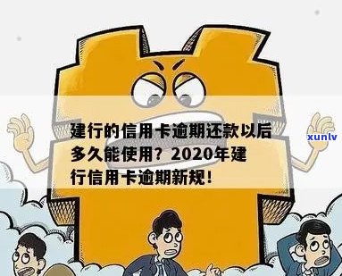 建行信用卡2020年逾期新规：全面解读，如何避免逾期还款及影响？