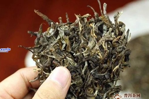 易武古树普洱茶好处