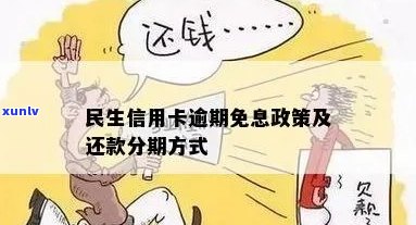 关于民生信用卡逾期利息减免政策的详细解析和实用建议