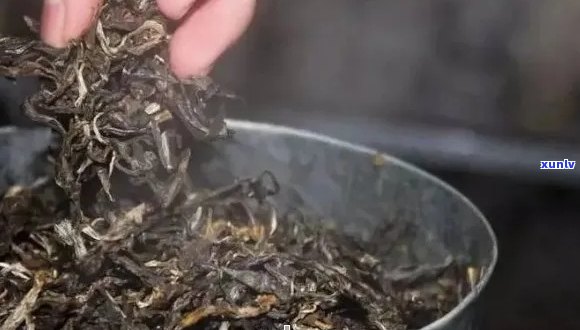 普洱茶炒制后属于什么类型的茶叶？