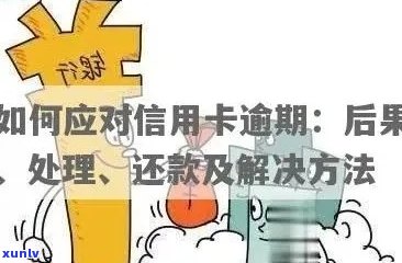 信用卡逾期还款后果严重，如何规划解决方案？