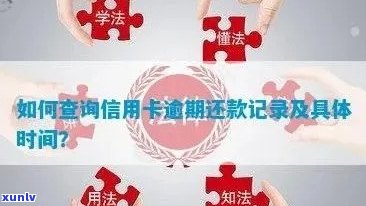 如何查看信用卡逾期记录：步骤与技巧详解