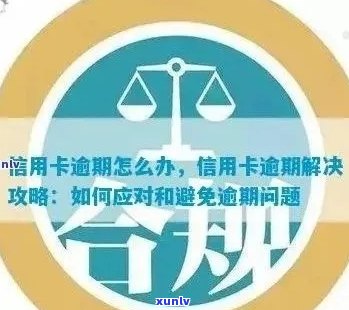 全方位掌握信用卡逾期信息查询 *** ，解答用户关于信用卡逾期的各种疑问