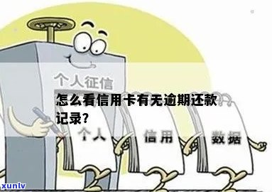 如何查信用卡有无逾期记录及还款情况