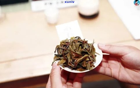 普洱茶学费：才者普洱茶是否为学费茶？