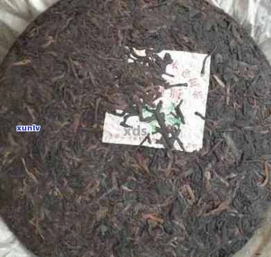 才者普洱茶价格表：品质与价值并存，是学费茶吗？