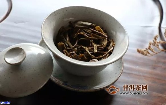 普洱茶学费：才者普洱茶是否为学费茶？