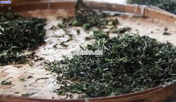 从茶树到茶杯：揭秘普洱茶的精手工 *** 工艺