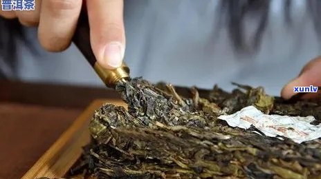 熟的普洱茶脂肪瘤可以喝吗？nn新含有脂肪瘤的普洱熟茶是否适宜饮用？