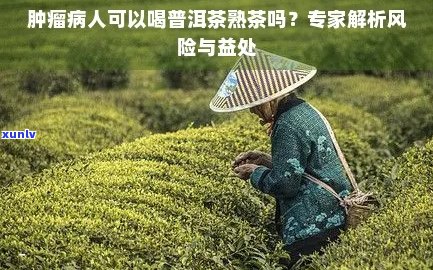 普洱茶脂肪瘤患者可以食用吗？如何选择和搭配食物以减轻症状？