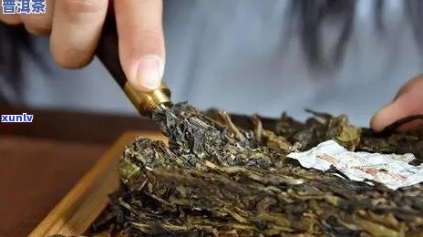 普洱茶脂肪瘤患者可以食用吗？如何选择和搭配食物以减轻症状？