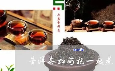 熟普洱茶与苟杞搭配的好处与注意事项