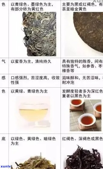 探索熟普洱茶的魅力：品质、功效与适宜饮用人群