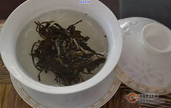 普洱茶喝冷的可以不