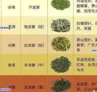 普洱茶有多少种类型？它们各自的特点是什么？