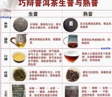 探索市面上的普洱茶：种类、口感与价值分析