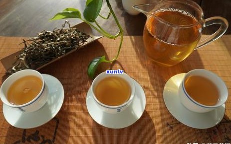 普洱茶品种繁多，全面解析各类普洱茶的特点与区别