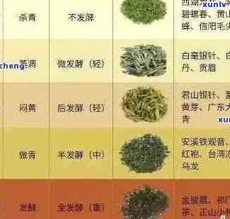 普洱茶品种繁多，全面解析各类普洱茶的特点与区别