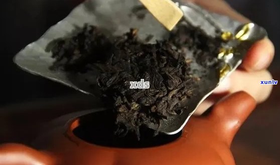 普洱茶需要什么泥料